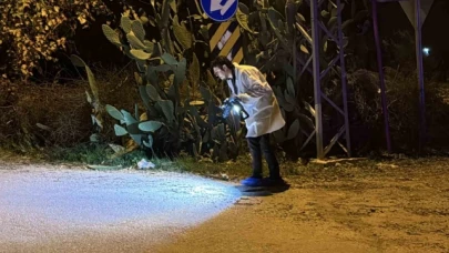 Silahlı kavga: 2 kardeş öldürüldü