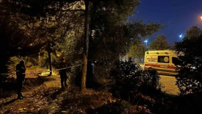 Şüpheli ölüm: 33 yaşındaki şahıs yol kenarında ölü bulundu