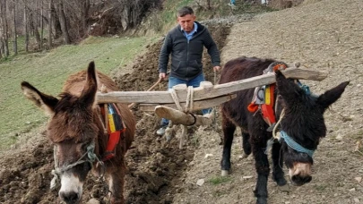 ATIL BIRAKILAN KÜÇÜK VE EĞİMLİ ARAZİLER TARIMA KAZANDIRIYOR