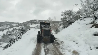 Kar yağışı nedeniyle kapanan köy yolları açılıyor