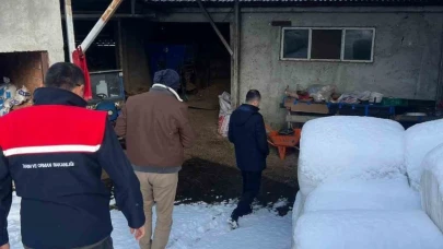 Şap nedeniyle bir köyde karantina uygulaması başlatıldı