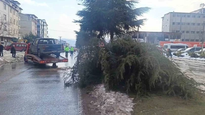 Kontrolden çıkan pikap ağaca çarptı: 1 yaralı