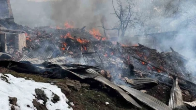 Alevlere teslim olan ev ve ahırlar küle döndü, yangın için su taşıyan tanker şarampole devrildi