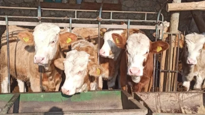 Amesia Gıda et ürünleri satışına devam ediyor