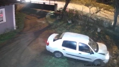 Evin bahçesine uçan araç köpek kulübesini parçaladı