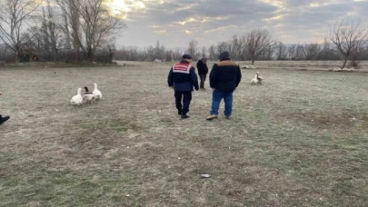 Kaz dövüşü yaptıran 7 şahsa suçüstü baskın: 72 bin lira ceza uygulandı