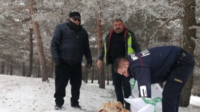 Merzifon Belediyesi ve ABADER belirli bölgelere yem ve ekmek bıraktı