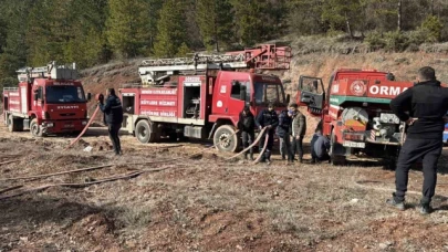 Ormanlık alanda örtü yangını çıktı: 1 dönüm zarar gördü