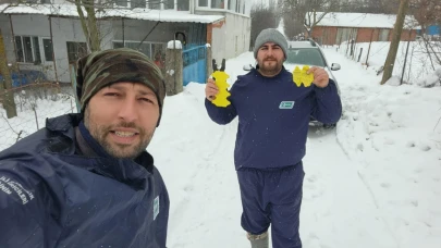 Amasya DSYB Buzağı Küpeleme Çalışmaları