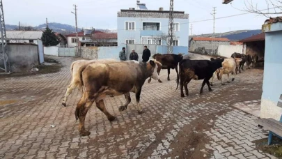 Süt Tankı Bakım ve Servis Hizmetleri