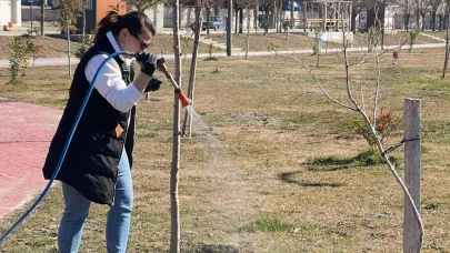 Millet Bahçesi’nde Larva İlaçlaması Yapıldı