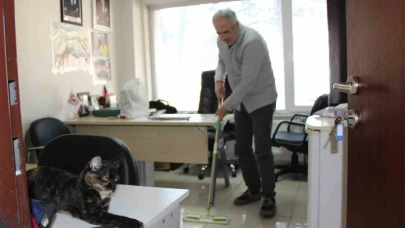 Kedi dostu profesör: Çalışma odasını kedileriyle paylaştı, her gün silip süpürüyor