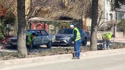 Belediye Budama ve Temizlik çalışmalarını sürdürüyor