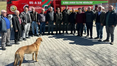 Almus Orman İşletme Müdürlüğü Çalışmalarına Devam Ediyor