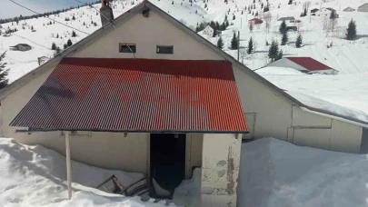 Sis Dağı Yaylası’nda çığ faciası sonrası bu kez de ayı faciası yaşanıyor