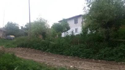 Türkiye’de Bir İlk! Amasya'nın O Köyünde Hiç Bekar Yok!