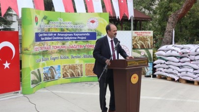 240 TON TRİTİKALE TOHUMU DAĞITILDI