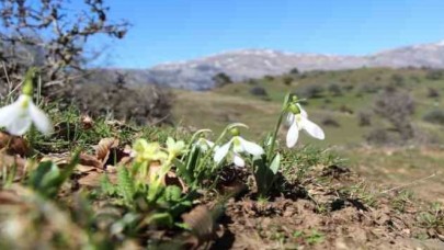 AKDAĞ'IN KARDELENLERİ KORUMA ALTINDA