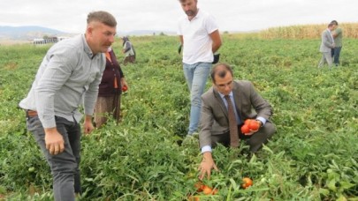 AKTARLA KÖYÜ’NDE TARLA GÜNÜ DÜZENLENDİ