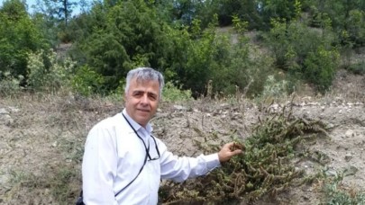 ALEVLİ VE ALEVSİZ YANGINLAR