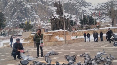 AMASYA BELEDİYESİ SOKAK HAYVANLARINI YALNIZ BIRAKMIYOR