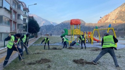 AMASYA ELMA AĞAÇLARIYLA DONATILIYOR