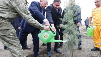 AMASYA GENELİNDE 33 BİN 500 FİDAN DİKİLDİ
