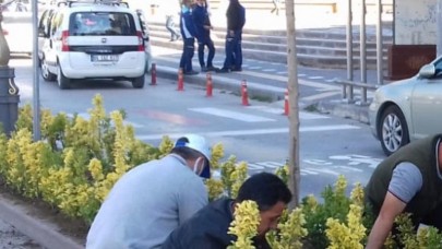 AMASYA SONBAHARDA DA RENKLENİYOR