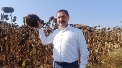 AYÇİÇEK YAĞI SORUNUNA MERHEM OLACAĞIZ
