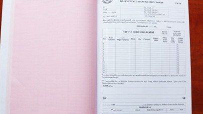BİLGİLER GÜNLÜK KAYIT FORMUNA AKTARILIYOR