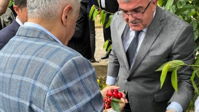 BİNALİ YILDIRIM KİRAZ BAHÇESİNİ GEZDİ