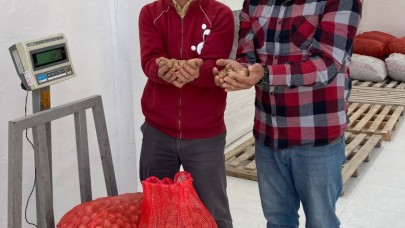 BİRLİK CEVİZ ALIMINA BAŞLADI