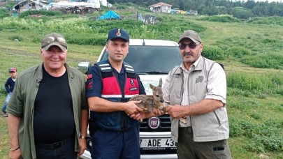 BİTKİN HALDE BULUNAN KARACA YAVRUSU BESLENİP DOĞAYA SALINDI