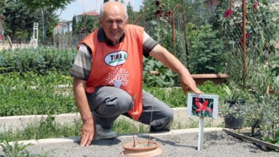 BİYOLOJİK ÇEŞİTLİLİK ÇOK ÖNEMLİ