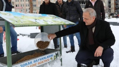“CAN DOSTLARIMIZ SAHİPSİZ DEĞİLLER, BİZLERE EMANETLER”