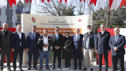 ÇİFTÇİLERE DAMIZLIK MANDA DAĞITILDI