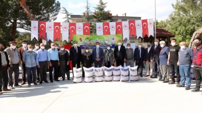 ÇİFTÇİYE TRİTİCALE TOHUMU DAĞITILDI