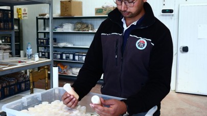 ÇİĞ SÜT ANALİZLERİNE DEVAM EDİLİYOR