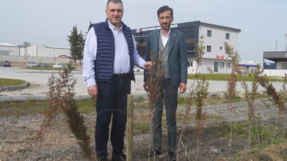 ÇİLEZ, OSB FİDANLIĞINDA İNCELEMELERDE BULUNDU
