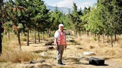 ÇÖPLÜĞÜ 25 YILLIK EMEKLE BOTANİK BAHÇESİNE ÇEVİRDİLER