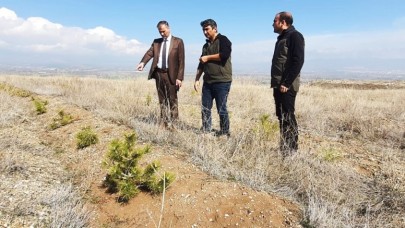 DEPREM ŞEHİTLERİ ANISINA HATIRA ORMANI KURULUYOR