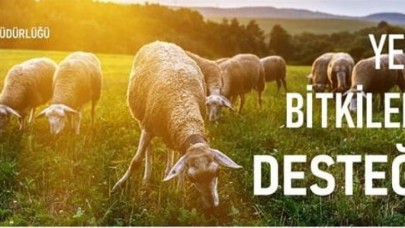 DESTEKLEME DOSYALARINIZI YAPTIRIN