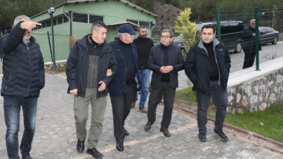 DOKUNULMAZLIK HAYVANLARA DA VERİLMELİ