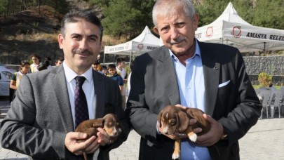 DOKUNULMAZLIK KADINLARA, ÇOCUKLARA VE HAYVANLARA DA VERİLMELİ