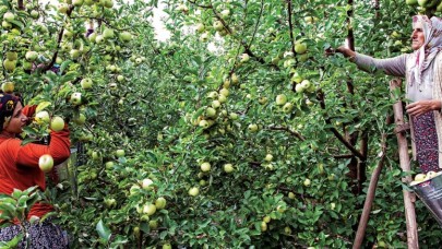 EKMEK PARASI İÇİN AMASYA DAHİL TÜRKİYE’Yİ GEZİYORLAR
