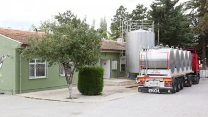 EYLÜL AYINDA GÜNLÜK 55 TON ÇİG SÜT ÜRETİLDİ