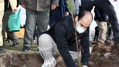 GÜMÜŞHACIKÖY’DE DE FİDANLAR TOPRAKLA BULUŞTU