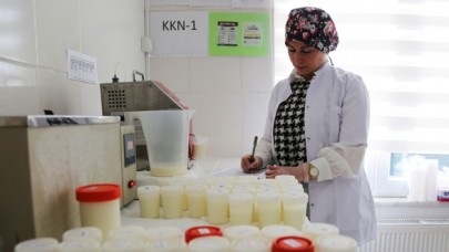 GÜNLÜK 49 TON SÜT TOPLANDI