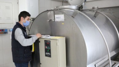 GÜNLÜK ORTALAMA 42 TON SÜT TOPLANIYOR