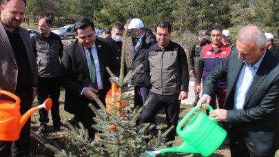 hafta dolayısıyla fidan dikip, kuş yuvası bıraktılar